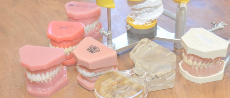 矯正専門だからできる矯正治療