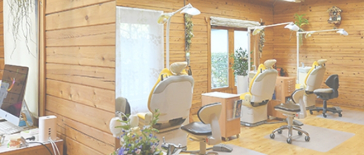 癒しの空間で温かな治療